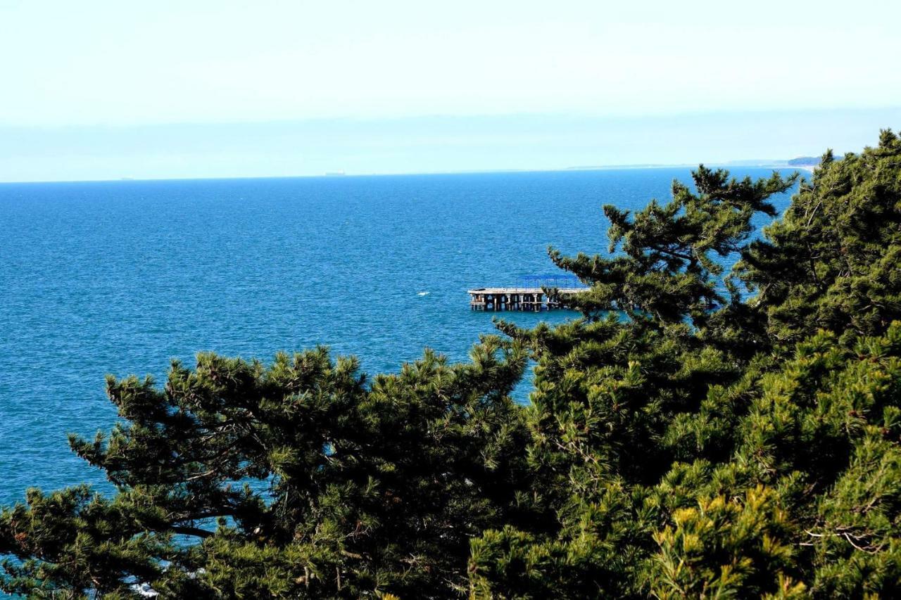 Guest House Romanadze Kobuleti Exteriér fotografie